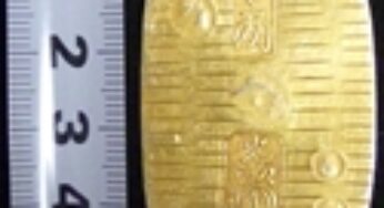 ヤフオクで見かける古銭の参考品とは？　購入時に注意すること